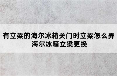 有立梁的海尔冰箱关门时立梁怎么弄 海尔冰箱立梁更换